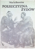 Polszczyzna Żydów