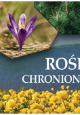 Rośliny chronione w Polsce