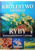 Królestwo zwierząt Tom 5