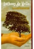 Przebudzenie