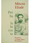 Próba labiryntu