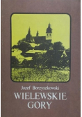 Wielewskie Góry