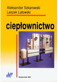 Ciepłownictwo