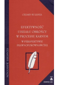 Efektywność udziału obrońcy w procesie karnym