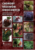 Choroby krzewów owocowych