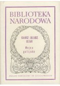 Wojna Galicyjska