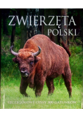 Zwierzęta Polski