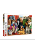 Puzzle  Kocie spotkanie