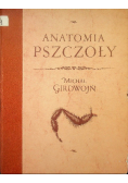 Anatomia Pszczoły