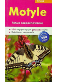 Atlas motyle