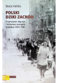 Polski Dziki Zachód Przymusowe migracje i kulturowe oswajanie Nadodrza 1945 - 1948