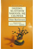 Drzewo na którym narodził się człowiek