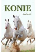 Konie