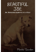 Beautiful Joe