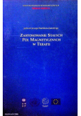 Zastosowanie stałych pól magnetycznych w terapii