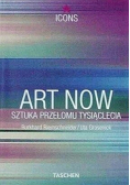Art Now  Sztuka przełomu tysiąclecia