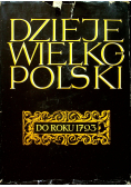 Dzieje Wielkopolski do roku 1793  Tom I