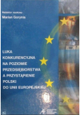 Luka konkurencyjna na poziomie przedsiębiorstwa a przystąpienie Polski do Unii Europejskiej