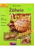 Żółwie