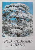 Pod cedrami Libanu