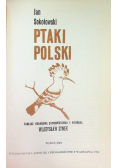 Ptaki polski
