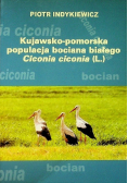 Kujawsko - pomorska populacja bociana białego