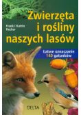 Zwierzęta i rośliny naszych lasów