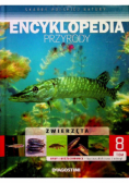 Encyklopedia przyrody Tom 8  Ryby i bezżuchwowce
