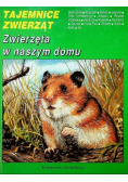 Tajemnice zwierząt Sekrety małych ssaków