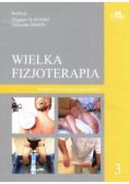 Wielka fizjoterapia. Tom 3