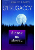 Ślimak na zboczu