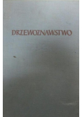 Drzewoznawstwo
