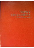 Nowy Testament z ilustracjami