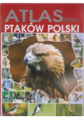 Atlas Ilustrowana encyklopedia ptaków Polski