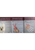 Prometeusz Atlas anatomii człowieka III Tomy