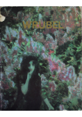 Wrubel