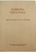 Dąbrowa Tarnowska Zarys dziejów miasta i powiatu