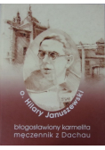 Błogosławiony karmelita męczennik z Dachau
