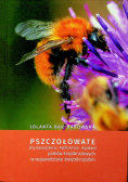 Pszczołowate
