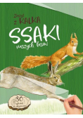 Ssaki naszych lasów. Zeszyt z kalką