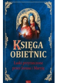 Księga obietnic