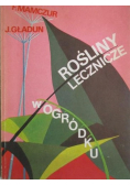 Rośliny lecznicze w ogródku