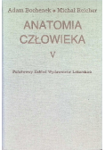 Anatomia człowieka Tom V