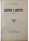 Protegowani panny de Landrellec/Skrzynka z Ametystu/Synowie burzy 1904 r.