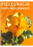 Pielęgnacja roślin doniczkowych