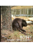 Bobry