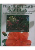 Piękne kwitnące kwiaty na balkonie