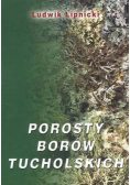 Porosty borów tucholskich Przewodnik