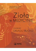 Zioła w Medycynie Choroby układu ruchu