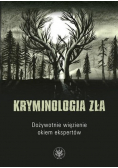 Kryminologia zła Dożywotnie więzienie okiem ekspertów